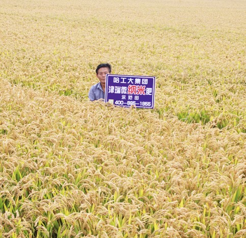 節(jié)能肥料
