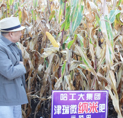納米肥